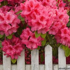 Cross stitch pattern: #334759