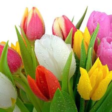 Cross stitch pattern: #334768