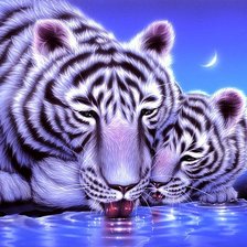 Cross stitch pattern: #335129