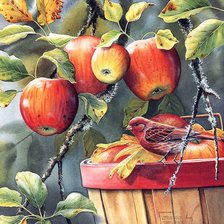 Cross stitch pattern: #335287