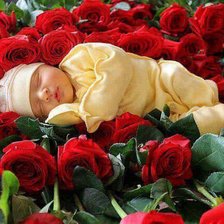 Cross stitch pattern: #335988