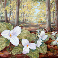 Cross stitch pattern: #336212