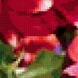 Preview of cross stitch pattern: #336797