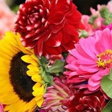 Cross stitch pattern: #336797