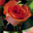 Preview of cross stitch pattern: #336810