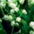 Preview of cross stitch pattern: #336817