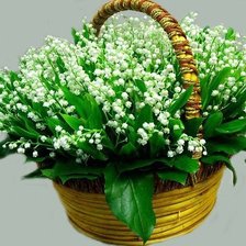 Cross stitch pattern: #336817