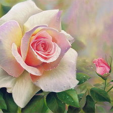 Cross stitch pattern: #336821