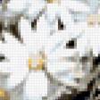 Preview of cross stitch pattern: #336852