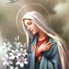 Cross stitch pattern: #337244