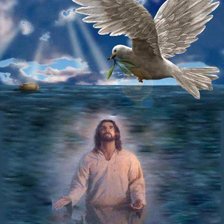 Cross stitch pattern: #337253