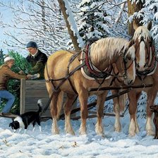 Cross stitch pattern: #337680