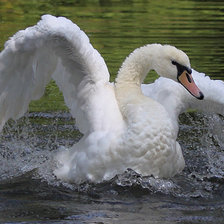 Cross stitch pattern: #337684