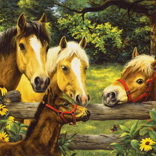 Cross stitch pattern: #337693