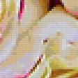 Preview of cross stitch pattern: #337705