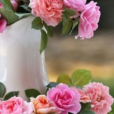 Cross stitch pattern: #337706