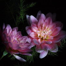 Cross stitch pattern: #337830