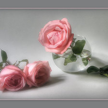 Cross stitch pattern: #337846