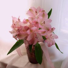 Cross stitch pattern: #337849