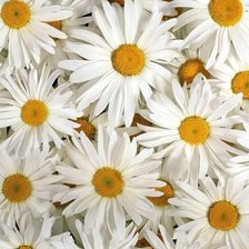 Cross stitch pattern: #338620