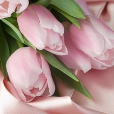 Cross stitch pattern: #338622