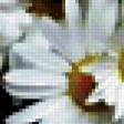 Preview of cross stitch pattern: #338624