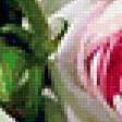 Preview of cross stitch pattern: #338659