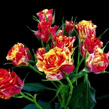 Cross stitch pattern: #338768