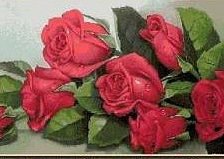 Cross stitch pattern: #338883