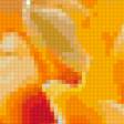 Preview of cross stitch pattern: #338963