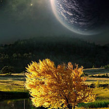 Cross stitch pattern: #338970