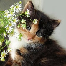 Cross stitch pattern: #338987