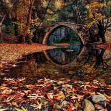 Cross stitch pattern: #339226