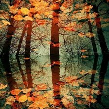 Cross stitch pattern: #339227