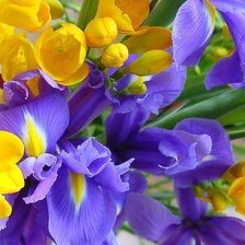 Cross stitch pattern: #339553