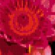 Preview of cross stitch pattern: #339555