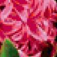 Preview of cross stitch pattern: #339556