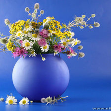 Cross stitch pattern: #339558