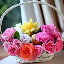Cross stitch pattern: #339561