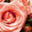 Preview of cross stitch pattern: #339562
