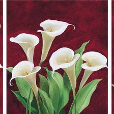 Cross stitch pattern: #339954