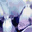 Preview of cross stitch pattern: #339963