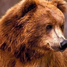 Cross stitch pattern: #339974