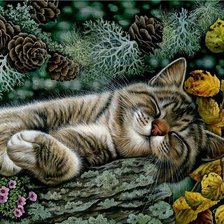 Cross stitch pattern: #340257