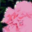 Preview of cross stitch pattern: #340818