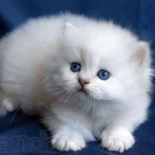 Cross stitch pattern: #341093