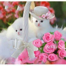 Cross stitch pattern: #341100