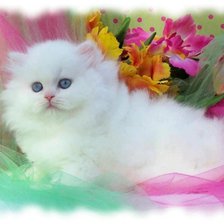 Cross stitch pattern: #341111