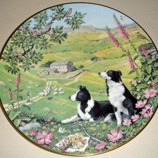 Cross stitch pattern: #341324