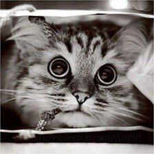 Cross stitch pattern: #341423